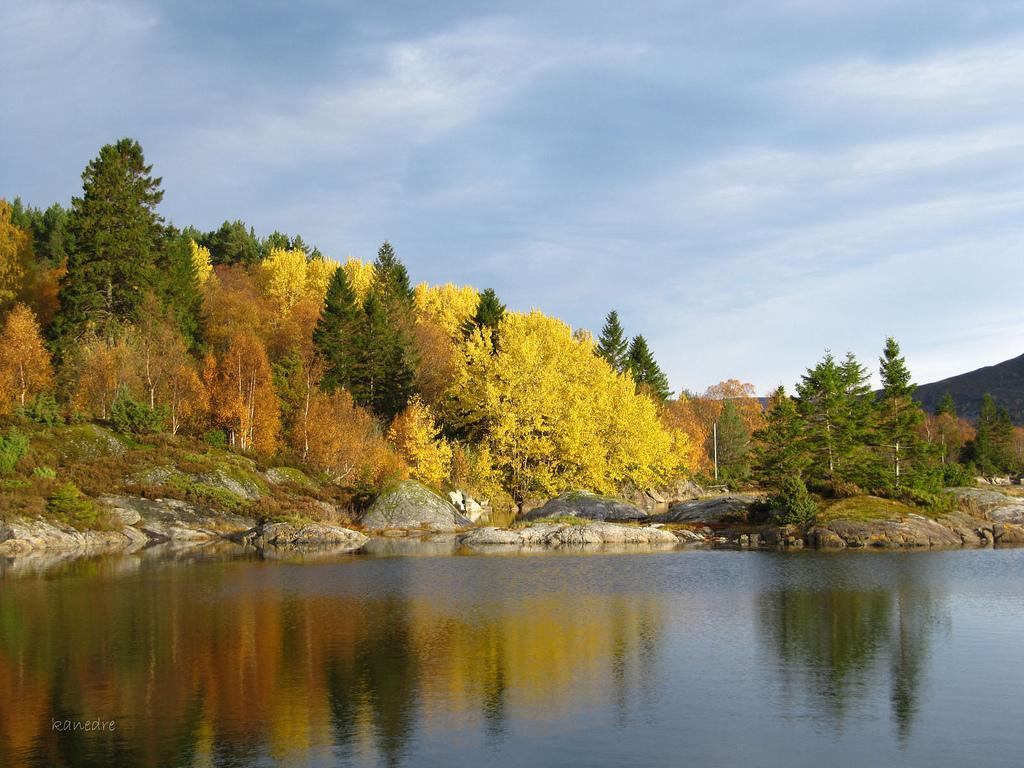 Skomakergarden Ulsteinvik Buitenkant foto